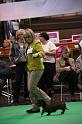 Crufts2011_2 1587